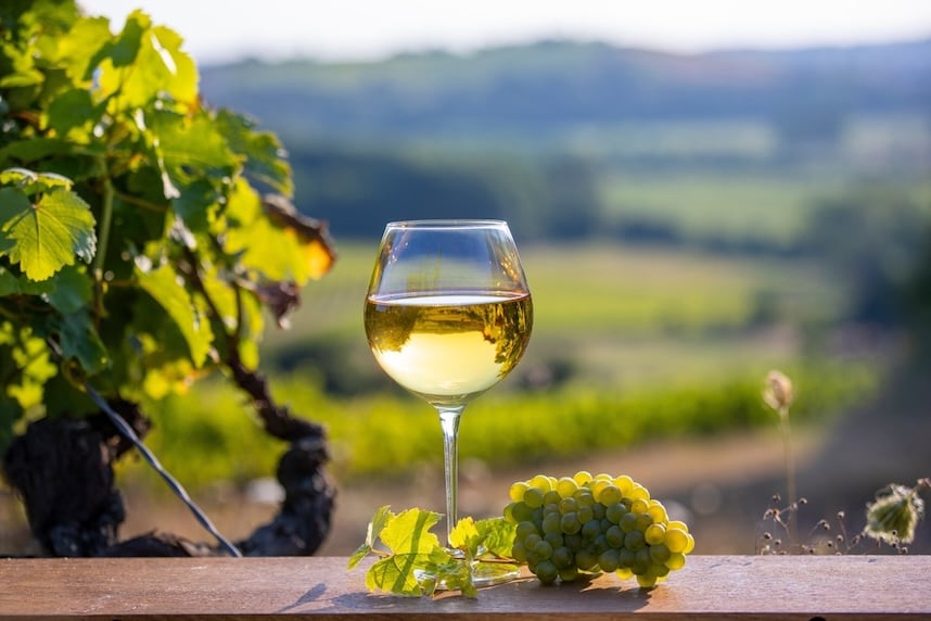 Quali sono i vini bianchi secchi?